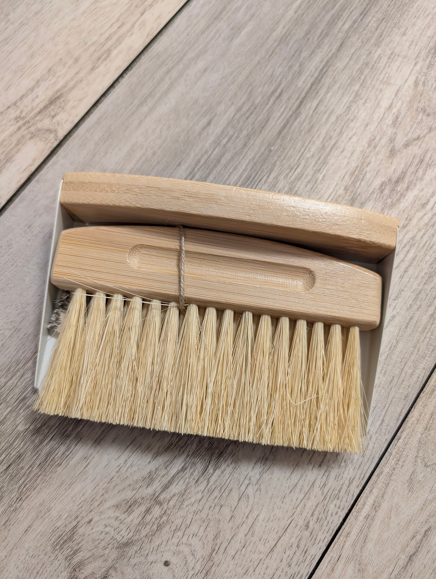 Dust Pan and Brush